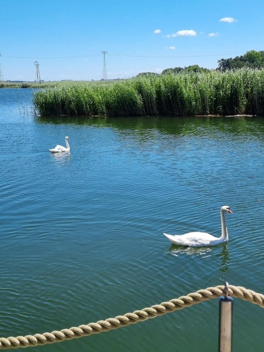 Naturlandschaft in der Nähe des Resorts