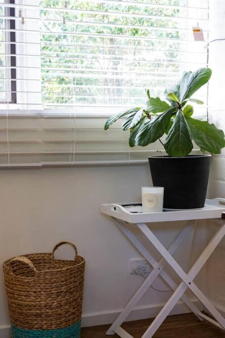 Maldon Cosy Garden Cottage - Charming One Room Studio - Housity