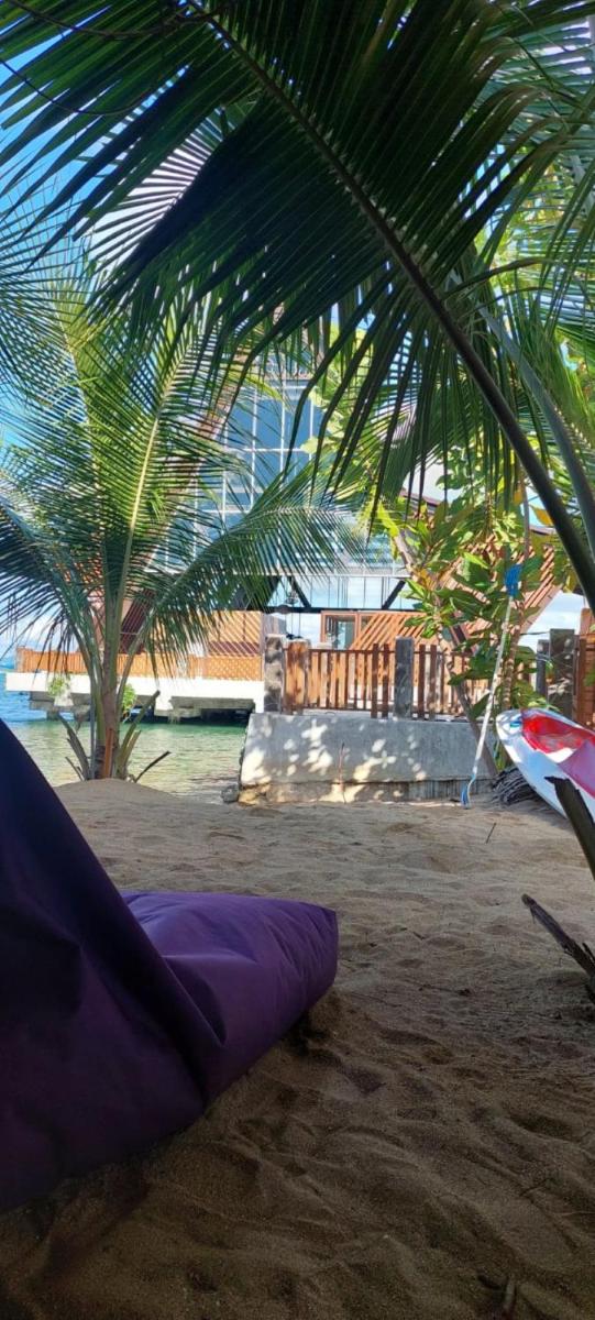 Arto Moro Bunaken - Housity