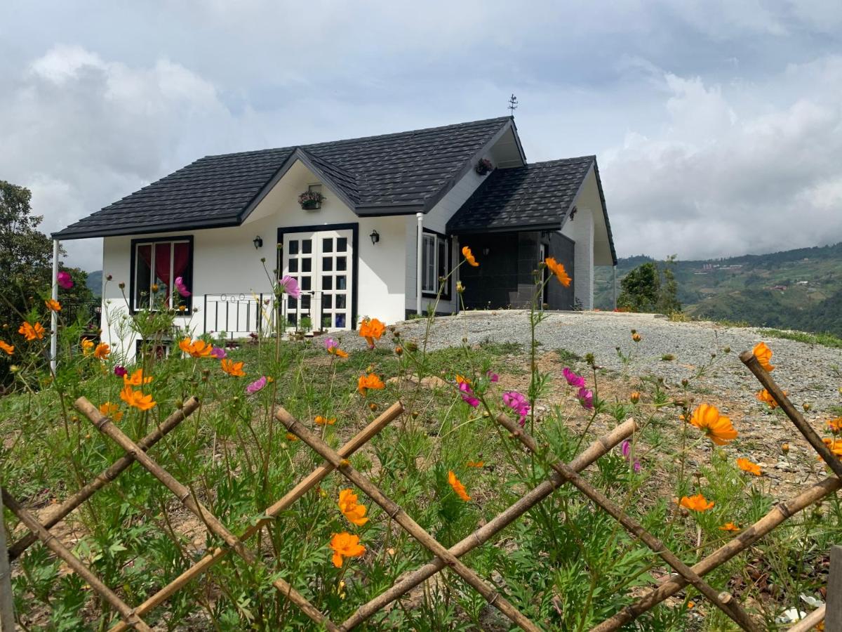 Hounon White Chimney Cottage - Housity