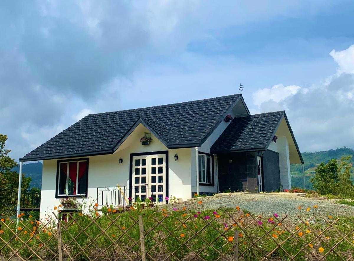 Hounon White Chimney Cottage - Housity