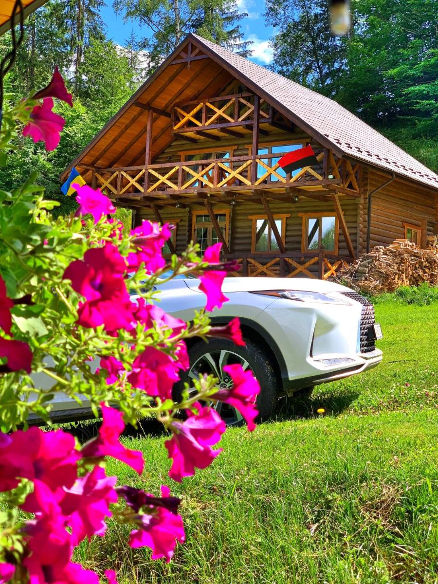 Терношорська Лада - Housity