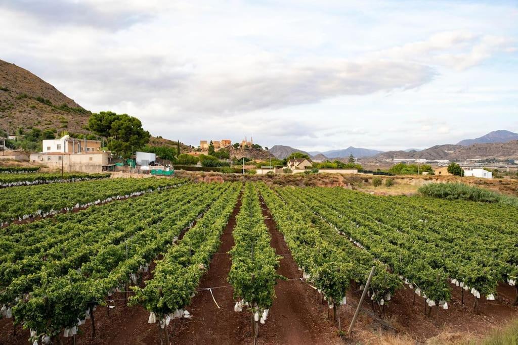 Villa Molinos - Housity