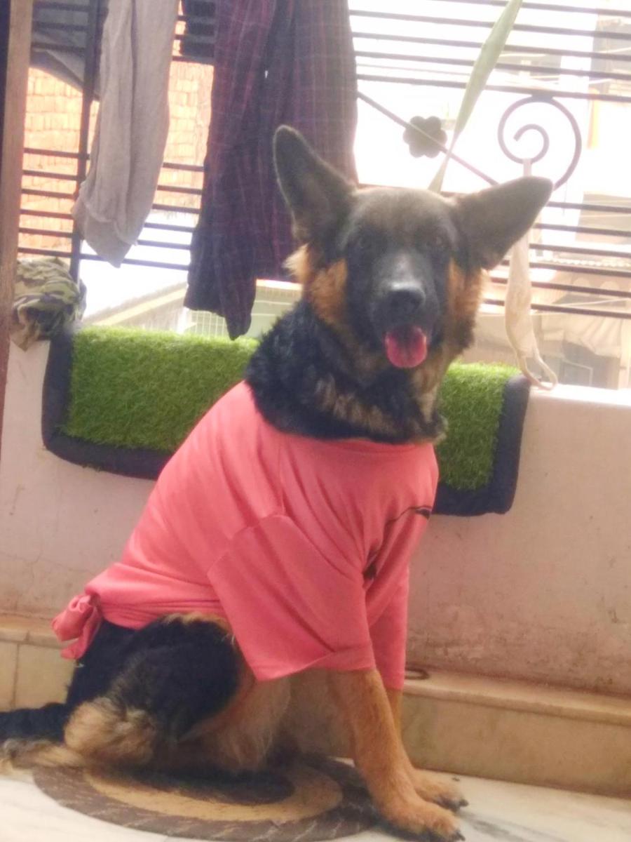 Brownie b&b - Housity