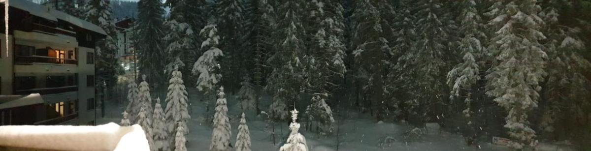 Charming Winter Studio - Housity