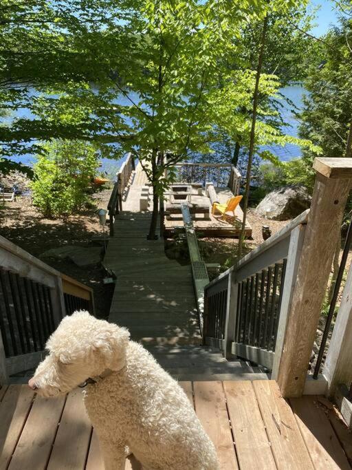 Relax, Rejuvenate, Lakeside Private Chalet Spa Get - Housity