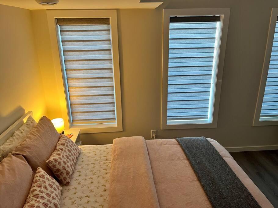 Cozy Private 1 bedroom basement suite - free parking and free Wifi - Housity