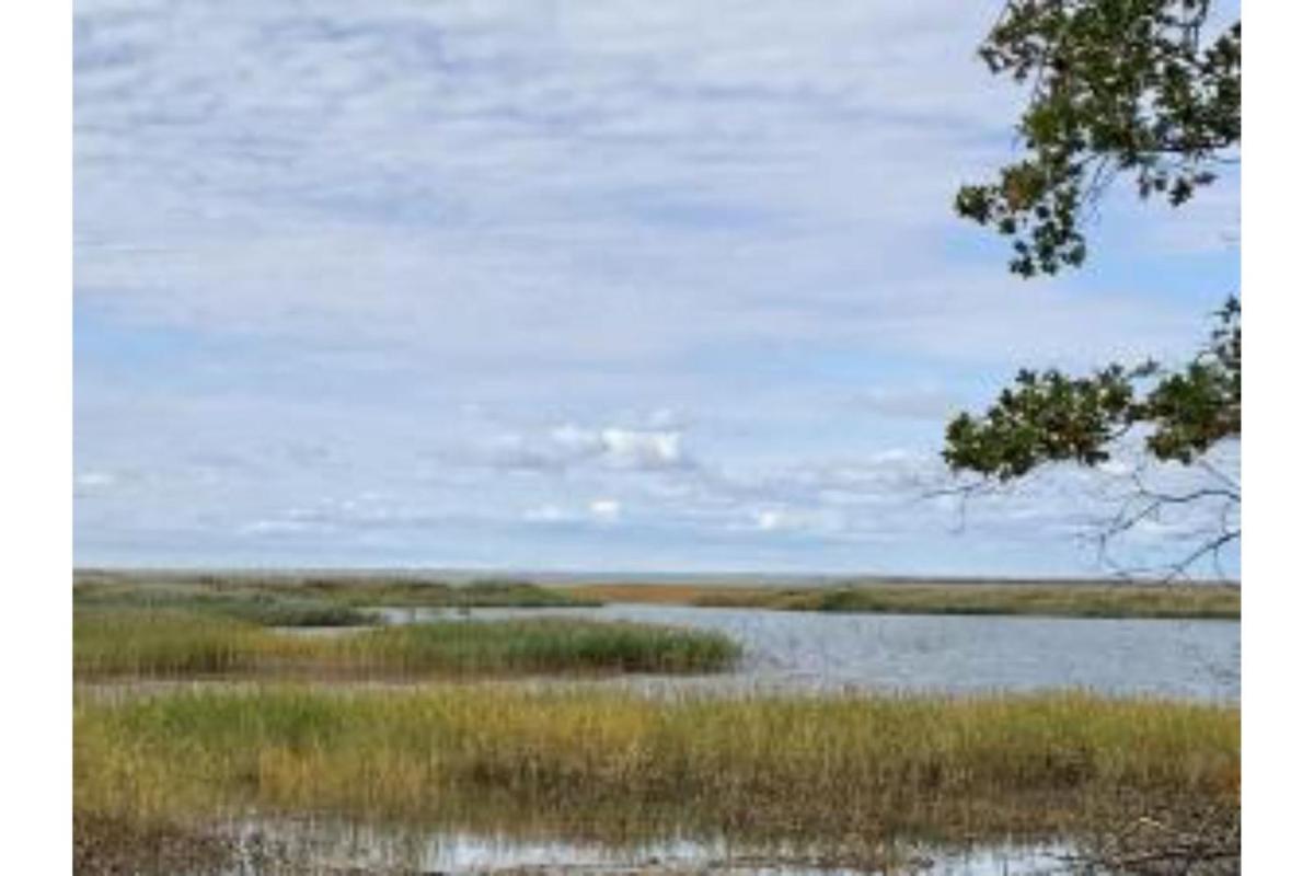 Lakeview & Wildlife - Housity