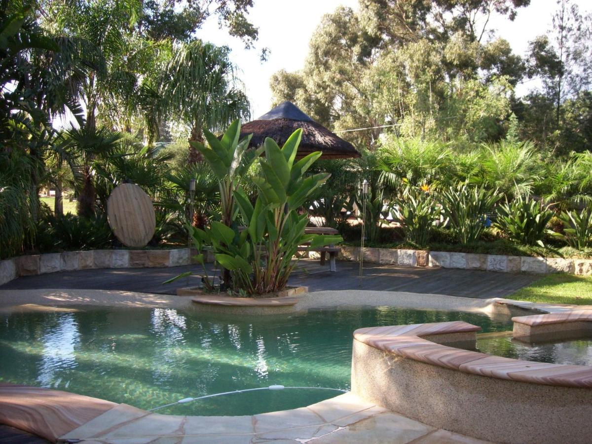 Relaxin - Housity