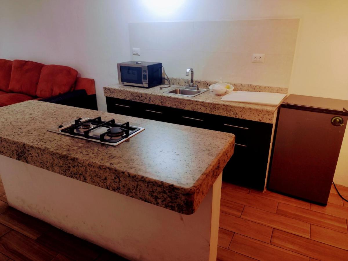 Exelentes departamentos y lofts en el centro de la ciudad de Teziutlán - Housity