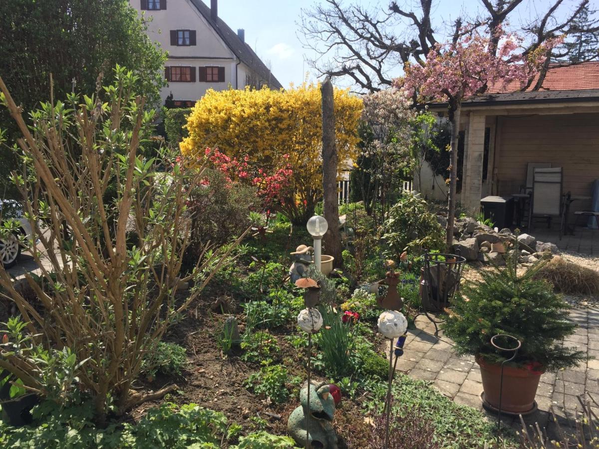 Apartmentvermietung Ingrid Bolkart - Vöhlino 2 - Housity