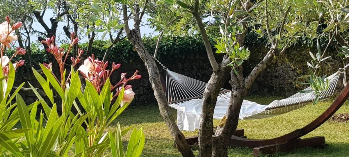 Peace of mind N 3 - Housity