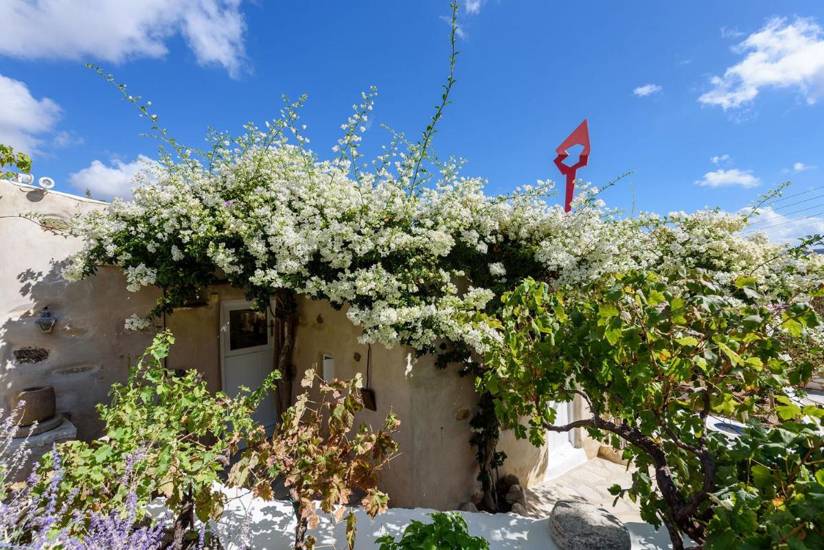 THE OLIVE MILL GUEST HOUSE - Housity
