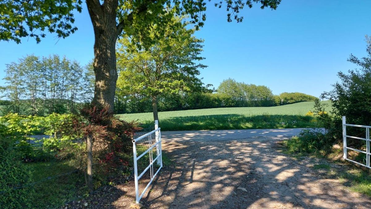 Villa Sonnenschein - Housity