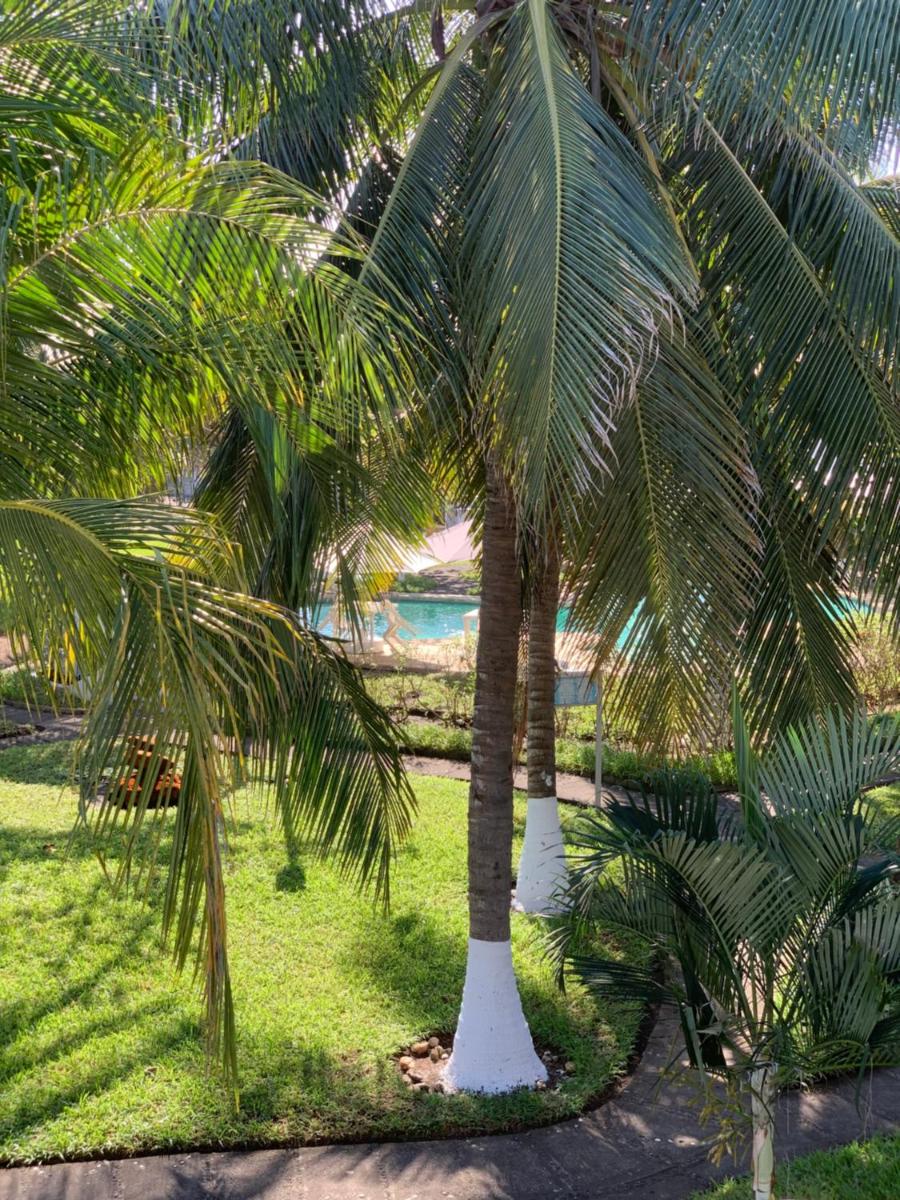 Cabo tortuga bungalows - Housity