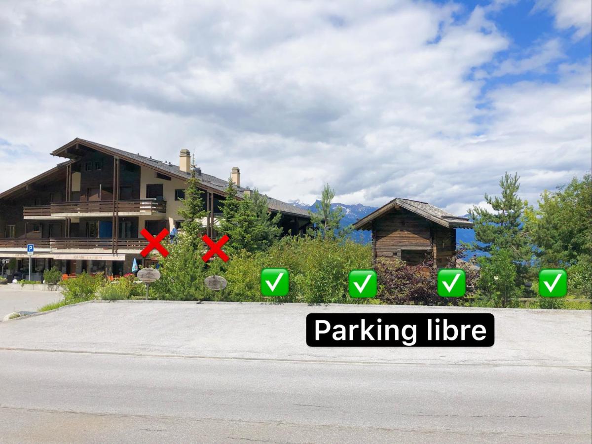 Charmant Studio, 2 adultes , Centre de Nendaz - Housity