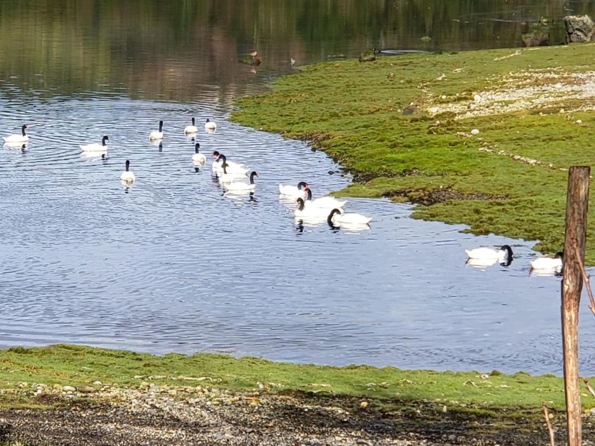 Bahía Eluney - Housity