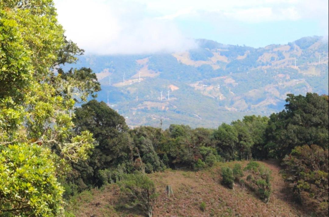 Cabañas Sueños de Montaña - Housity