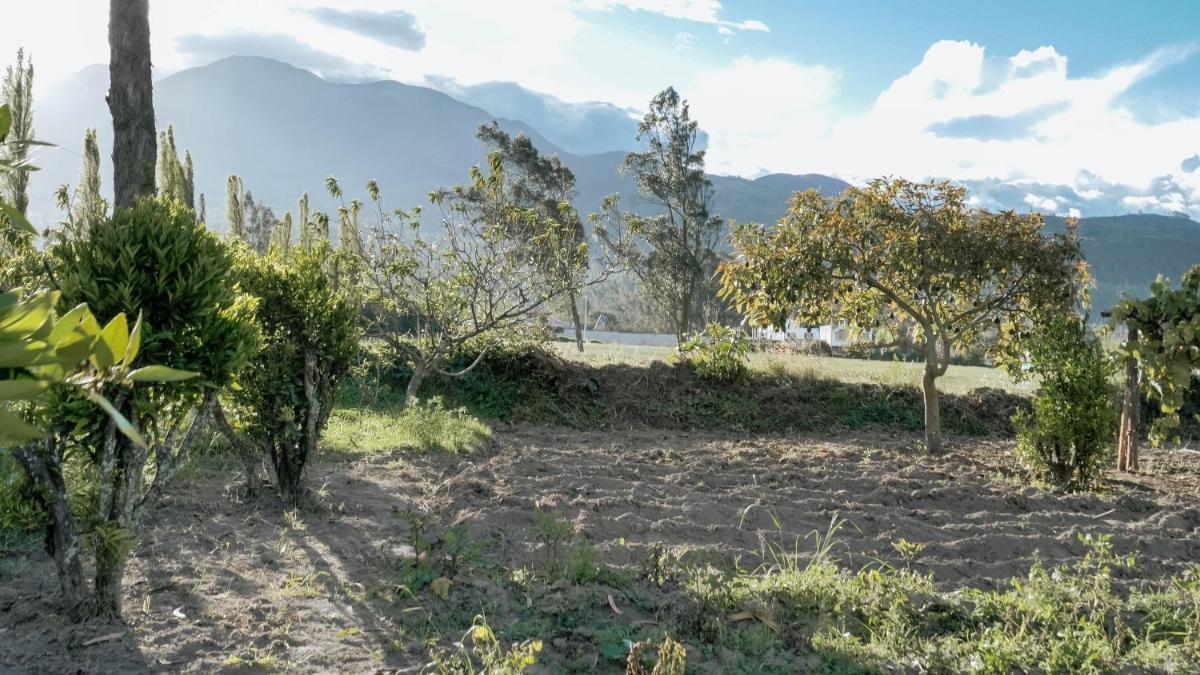La Quinta San Miguel-Located Between Two Volcanoes - Housity