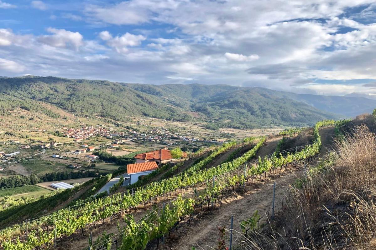 Quinta da Penada - Vineyard & Winery - Main House - Housity