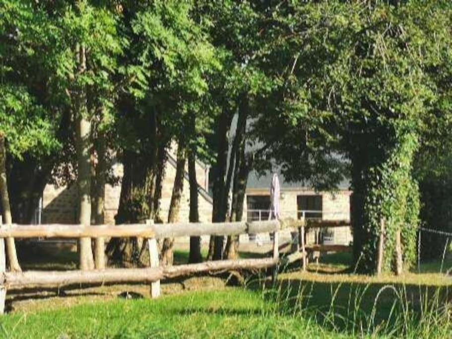 Le moulin de Cordouen 10 personnes -Bain nordique - Housity