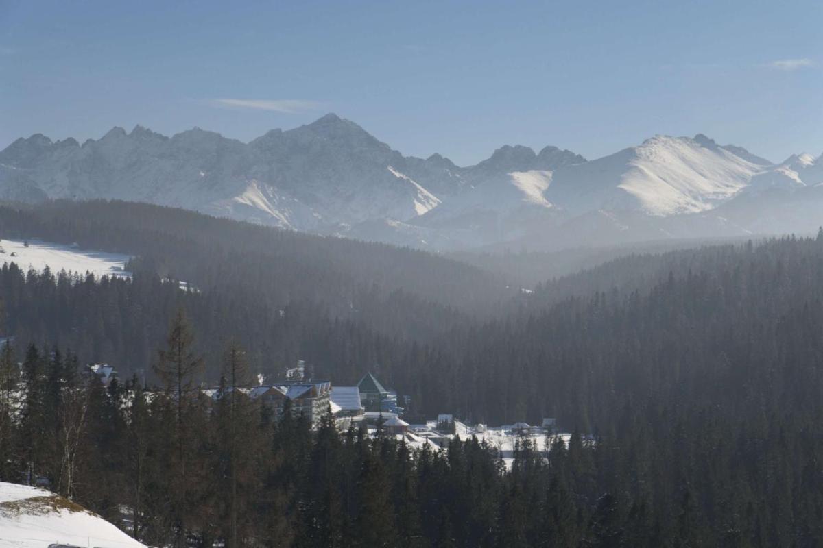 Apartamenty SIUSTER - Ania z pięknym widokiem na góry i Małgosia na parterze - świetna lokalizacja, niedaleko Term Bukovina! - Housity