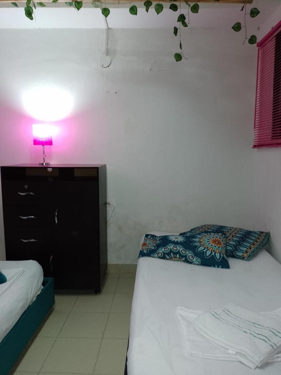 Cat family lodging - Housity