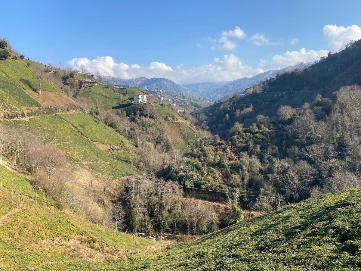 Suitetrails - Doğa ile baş başa kalabileceğiniz, sakin kırevi