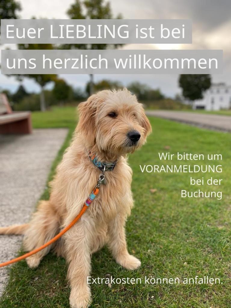 FeWo Clemens - Wohnküche + 2 Schlafräume + Bad + Terrasse - Housity