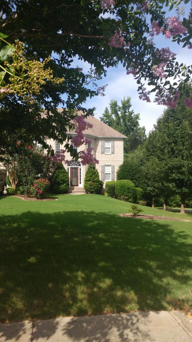 Comfortable Basement Apartment - Housity