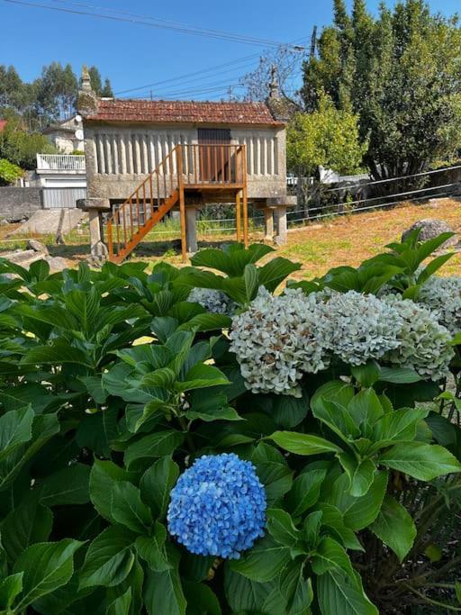 Agradable casa rural entre Pontevedra y Arcade - Housity