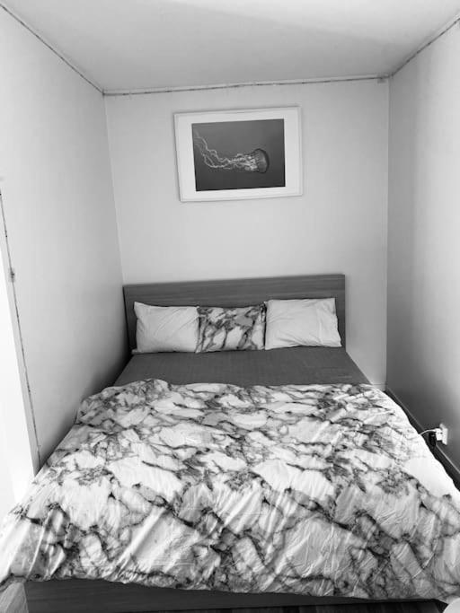 A room apartment with kitchen, toilet and balcony. - Housity