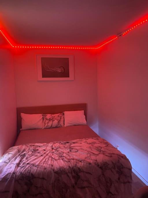 A room apartment with kitchen, toilet and balcony. - Housity
