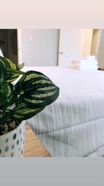 Comfy Castleton Suite - Housity