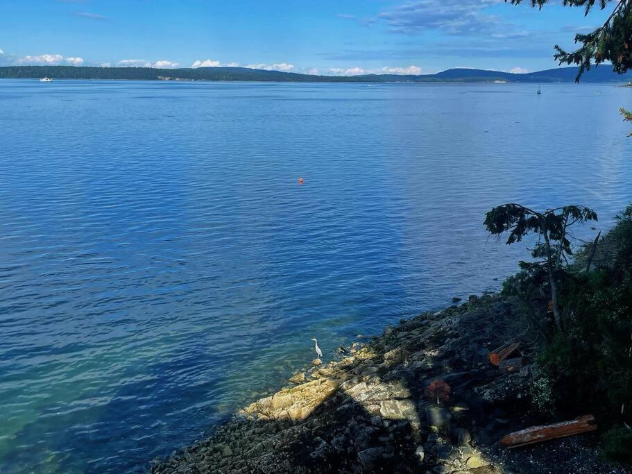 Vancouver Castle Waterfront with hot tub beach downtown - Housity