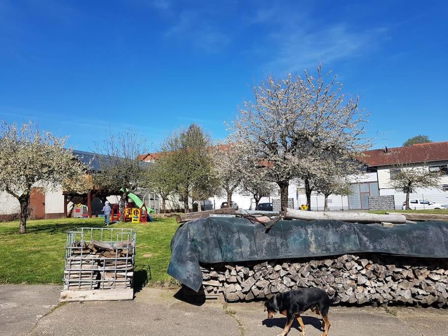 Ferien-/Monteurwohnung im Odw. - Housity