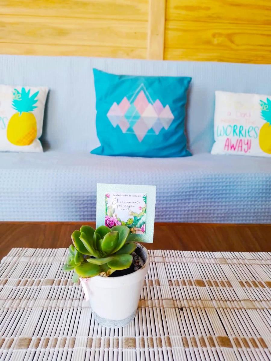 Las Caetanitas - Housity