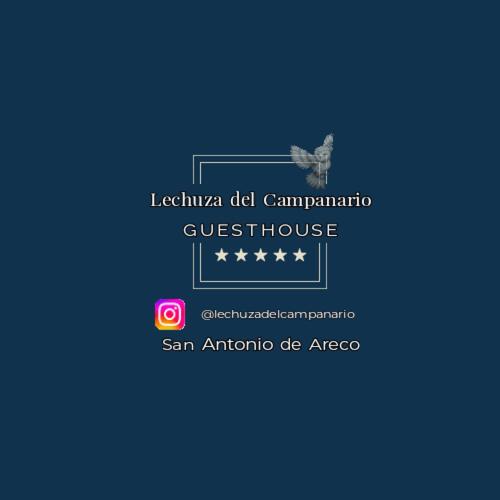 Lechuza Bolivar - Housity