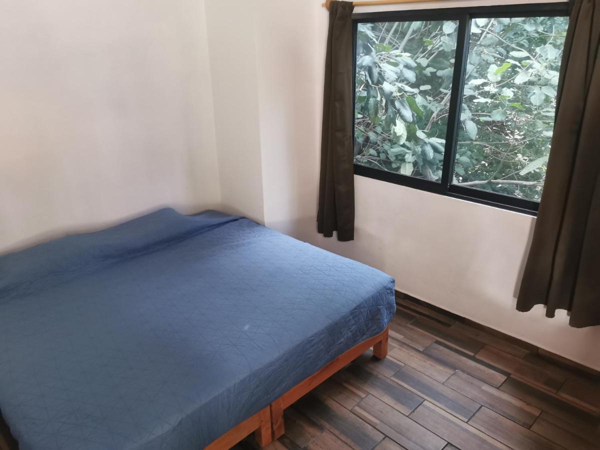 Casa Momotus - Housity