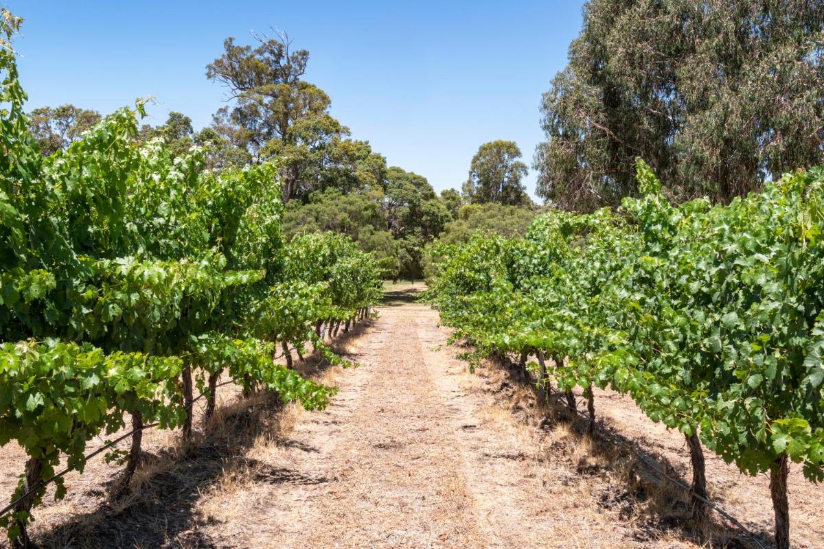 Island Brook Estate Vineyard and Chalets - Housity