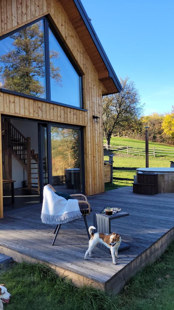 Domek JASZCZURKA, Roztocze, Lubelskie, Jacuzzi, Sauna - Housity