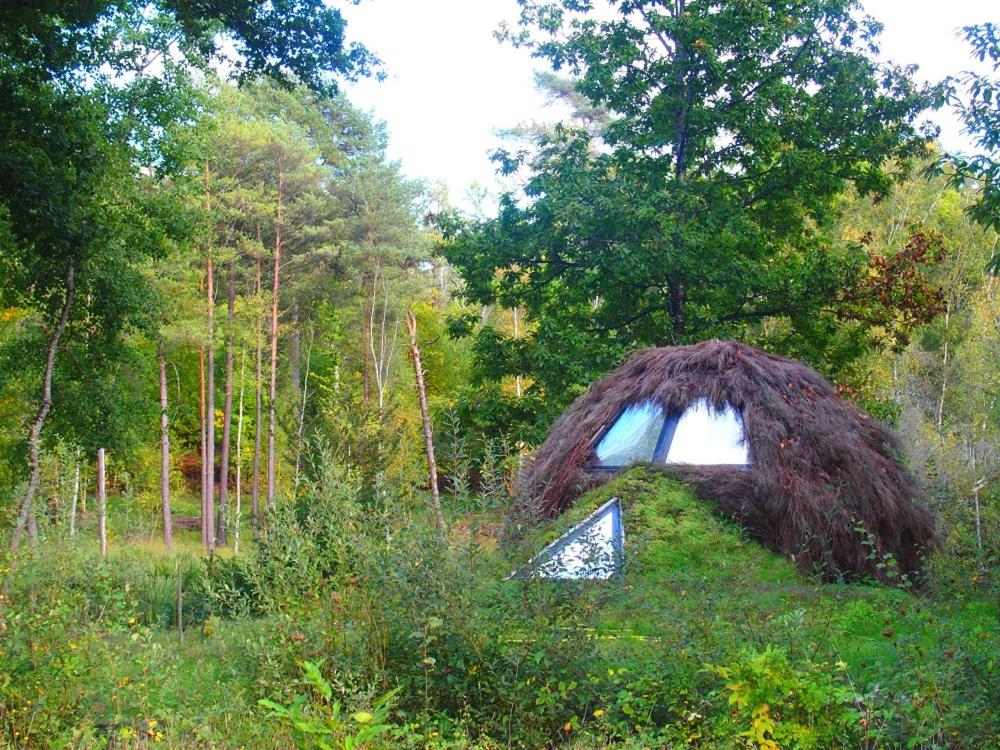 Le cul de loup - Housity