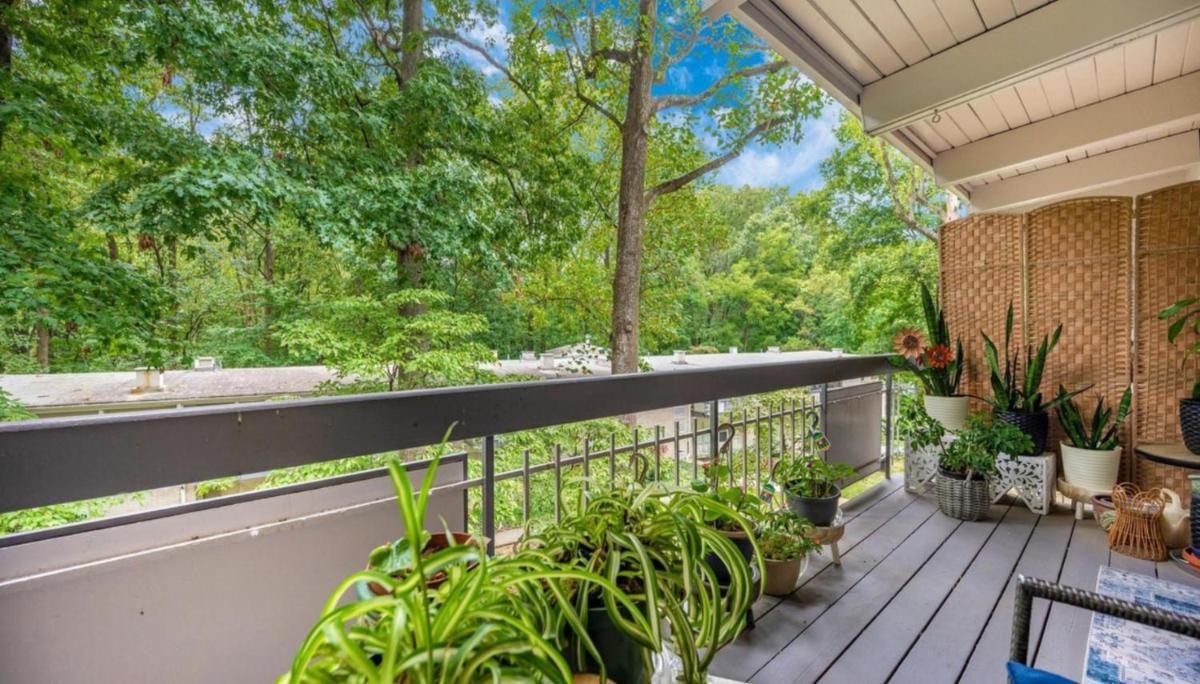 Entire one bedroom apartment - Housity