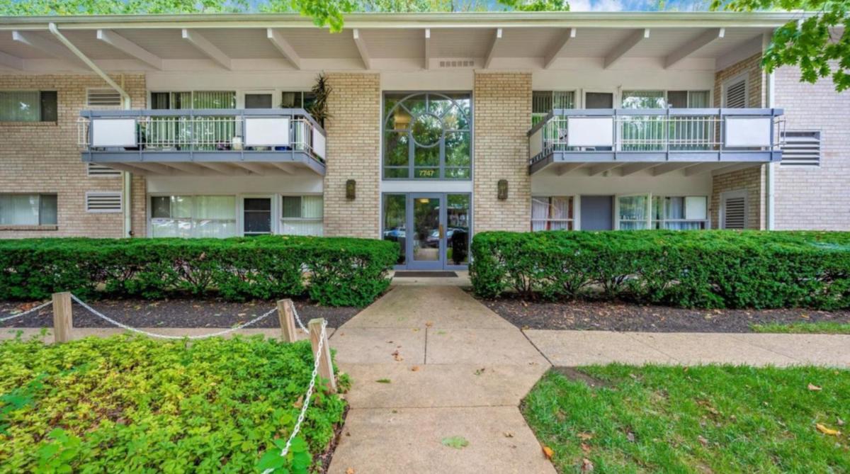 Entire one bedroom apartment - Housity