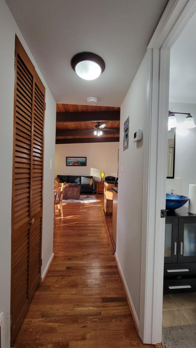 Entire one bedroom apartment - Housity