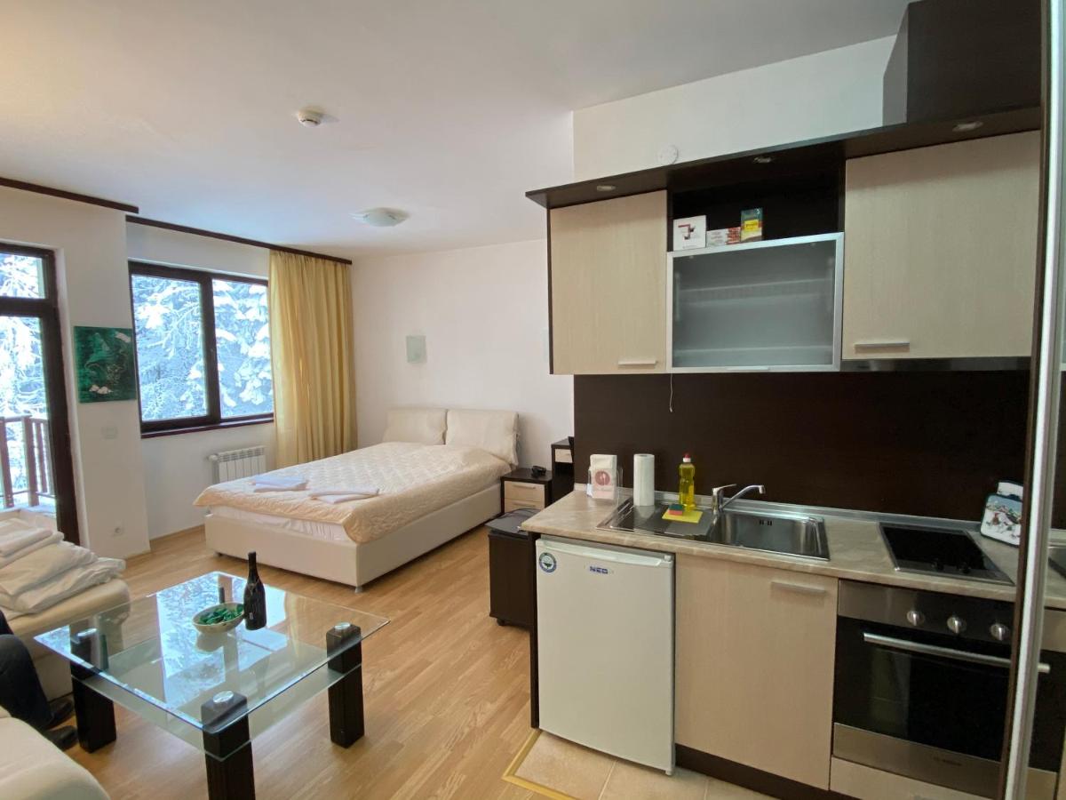 Charming Winter Studio - Hizvo