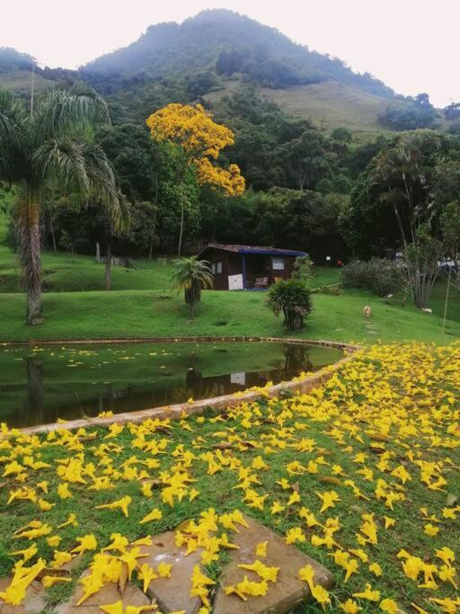 Feel in Paradise at Hacienda la María! - Housity