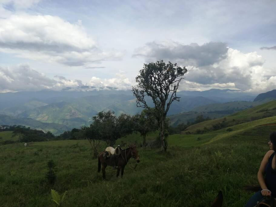 Feel in Paradise at Hacienda la María! - Housity