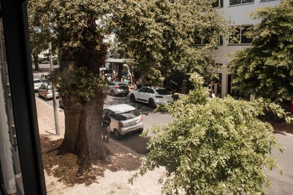 Concord Apartment - Housity