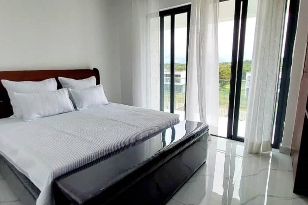 Chichi Luxurious - Zebra - Housity